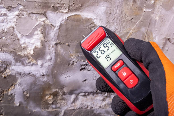 Best Commercial Mold Removal  in Mansfield, AR