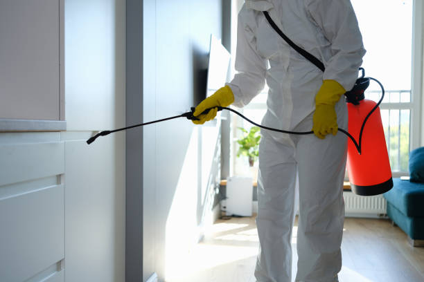 Best Local Mold Removal Service  in Mansfield, AR